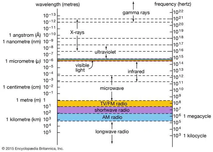 Medical Image Snippet Medical Spectrum